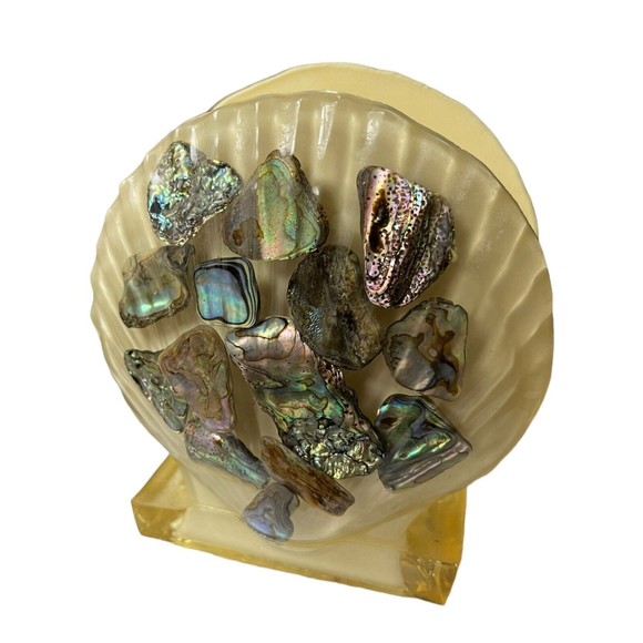 VTG RESIN ABALONE SEA SHELL NAPKIN HOLDER OR LETTER HOLDER WONDERMOLD IND., INC - Picture 3 of 12